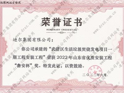 榮譽(yù)證書(shū)