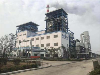 國楨阜陽生物質項目